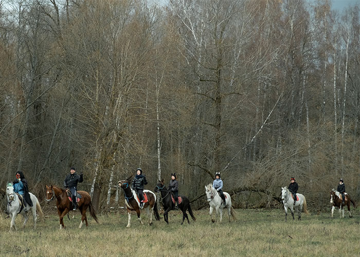 На фотографии много людей едут на лошадях в поле рядом с лесом